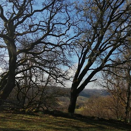 Gite Le Pigonnier Ecogite Le Luquet Saint Beauzeil 82150 外观 照片