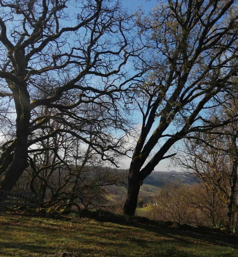 Gite Le Pigonnier Ecogite Le Luquet Saint Beauzeil 82150 外观 照片