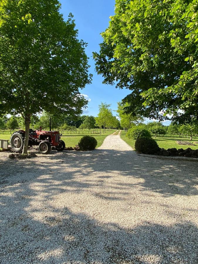 Gite Le Pigonnier Ecogite Le Luquet Saint Beauzeil 82150 外观 照片